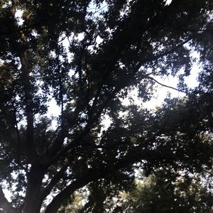 Meet your Posher, Shari